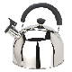  Modern Whistling Teapot Surgical Stainless Steel Teakettle Tea Pots Stove-Top Tea Kettle