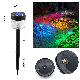  Poly Solar Panel LED Lighting Street Stake Solarlight Landscape Lamp Garden Lights