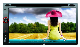  Wholesale Touch Screen Double DIN Car DVD Stereo with Bluetooth