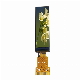  0.99 Inch 40X160 Pixels Multi-Color TFT LCD Display LCD Screen