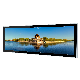  29 Inch OEM Stretched Bar TFT Touch Elevator LCD Display Monitor Shelf Screen