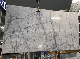  Grey/White/Brown Marble for Flooring/Tile/Background Wall Panel in Bathroom/Kitchen Building