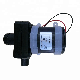  Ruijeep TUV, UL, CCC Certification 12L/Min Water-Flow Closed Type Water Heater Parts