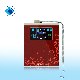  pH Water Purifier Multifunctional Water Ionizer Bw-6000
