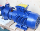  Liquid Water Ring Single Two Stage Air Pressure Vertical Type Reciprocating Piston Pump Slide Valve Vacuum Pump for Chemical Industry
