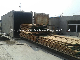 High Quality Heat Pump Timber Drying Machine Wood Kiln Dryer for Wood Board Log manufacturer