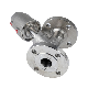  Flanged 1 Inch DN25 Steam Cylinder Y-Type Angle Seat Valve