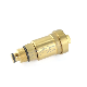 High Quality Chinese Manufacturer Forged Brass Air Vent Valve