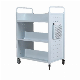  SSC029 OEM Office Furniture Metal Cabinet Drawers Fire Resistant Premium Filing Cabinets
