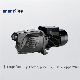  Shentai High Pressure Garden 0.75 Kw 1 HP Electric Motor Jet 100 Water Pump for Home Use