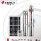  Fancy SSD DC Screw Design Solar Submersible Borehole Pump