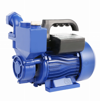 Werto Wzb Series Factory Price Wholesale Peripheral Pump Clean Water Pumps