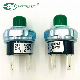  12V 100psi Air Compressor Pressure Switch for Air Compressor