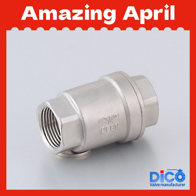 Industrial H12 200wog Stainless Steel Bsp BSPT Vertical Check Valve