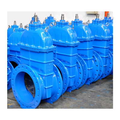 Large Size Durable Flange Gas Gate Valve for Sale