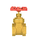  Stainless Steel / Brass Gate Valve Available with NPT Thread for Air-Conditioning Plants India