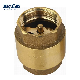  Bmag Brass Core Vertical Spring Non-Return Check Valve