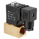  DC12V/24V AC110V/220V Brass/Stainless Steel Pneumatic Solenoid Drain Valve