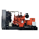  500kw 200kw 250kw 300kw Gas/Diesel/LPG/CNG/Biogas Cummins Generator Gnt855 Gta9 Gta38 Price