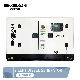 30 kVA 40 kVA Super Silent Diesel Generator Set Diesel Power Generator