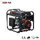  Ruixian China 15 kVA Generator Factory Condition 30kVA 24kw 4b3.9-G2 Silent Container Diesel Generator Portable Portable Gasoline Generator