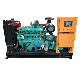  30kw 50kw 80kw 100kw 125kVA Electricity Powered AC Three Phase Residential 400V 380V Silent LPG Biogas Natural Gas Generator