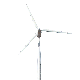  380V 100kw Horizontal Axis Wind Turbine Generator for Hybrid Wind Solar System