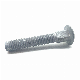 Galvanized Carbon Steel Carriage Bolt Round Head Bolts manufacturer