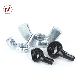  Carbon Steel /Stainless Steel Hex Nut/ Wing Nut /Flange Nut/ Square Nut /T Nut /Eye Nut