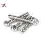  Fasteners Stainless Steel DIN 933/934 Hex Bolt Nut/Carriage Bolt DIN603/Flange Bolt DIN6921/T Bolt/ Eye Bolt DIN444/ U Bolt / Allen Bolt DIN912/DIN444 Eye Bolt