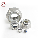 Hex Nylon Insert Lock Nuts Stainless Steel Hexagon Head Nut DIN985 with Plastic Washer manufacturer