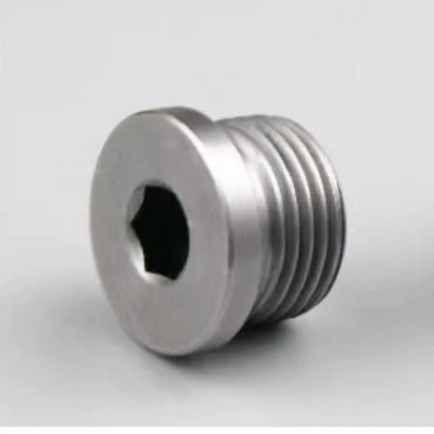 Stainless Steel Hexagon Socket Oil Plug