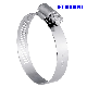  Stainless Steel Perforated Adjustable European Style Big American Type Hose Clamp Pipe Tube