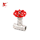  200 Psi Wog Female Thread NPT BSPT Screw Stainless Steel Globe Valve