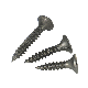  Screw Manufacturer Coarse Thread MDF Screw Size Drywall Screw for Gypsum
