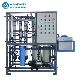  500lph Ultrafiltration Mineral Water Making Equipment Membrane Price
