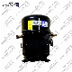  Hot Selling 25HP Bristol Hermetic Air Compressors Bristol Piston Compressor R22 Price of Bristol Compress H2ng294dpef