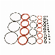  Various Rubber Silicone O-Ring/Orings/Seal O Ring