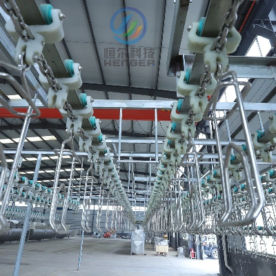 One-Stop Poultry Slaughter Chicken Processing Production Line for Abattoir Equipment