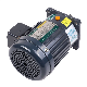  Shaft Dia 22mm Small AC Gear Motor (Horizonal)