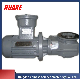  Factory Manufacture S Series Helical Worm Gearbox, High Efficiency Right Angle S57 Worm Speed Reducer with Double Output Shaft