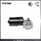  Factory Sale 24V DC Geared Motor Electric with Gear Ratio 61: 1