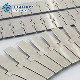 Stainless Steel or Galvanized Steel Straight Route/Side-Flex Flat Top Mesh Conveyor Belt for Beverage Beer Industry manufacturer