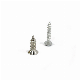  OEM Factory Wholesales Nickel-Plated Self-Tapping Screws Customized Cruciform Round Head Stainless Steel Self-Tapping Screws