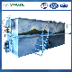 Treatment of Domestic Sewage with Dissolved Air Flotation Equipment of Complete Water Treatment Unit