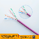 UTP Solid Copper CAT6 LAN Cable manufacturer