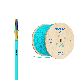 China Supply Indoor Simplex Armored Indoor Multi Core Fiber Optic Cable manufacturer