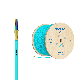 China Supply Indoor Simplex Armored Indoor Multi Core Fiber Optic Cable manufacturer