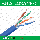  Blue Category 6 U/UTP 23 AWG 4 Pair LAN Cable with Pass CPR Test