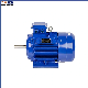  11kw 4poles AC Motor Cast Iron Electric Motor Three-Phase Asynchronous Motor with CE